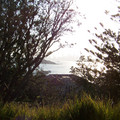 100_6598.jpg