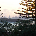 100_6629.jpg
