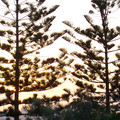 100_6630.jpg