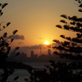 100_6631.jpg