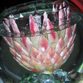 100_6634.jpg