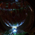 100_6635.jpg