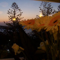 100_6637.jpg