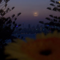 100_6638.jpg