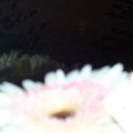 100_6639.jpg