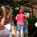 100_5246.jpg