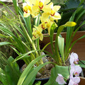 100_0112.jpg