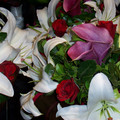 100_3311.jpg