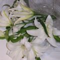 100_3312.jpg