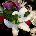 100_3313.jpg
