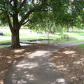 100_3364.jpg