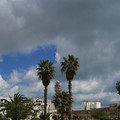 100_0143.jpg