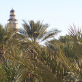 100_0157.jpg