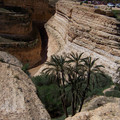 100_0205.jpg