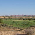 100_0222.jpg