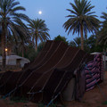 100_0236.jpg