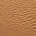 100_0269.jpg