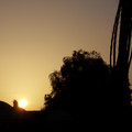 100_0345.jpg