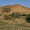 100_0346.jpg