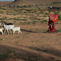 100_0349.jpg