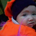 100_9815.JPG