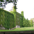 100_9845.JPG