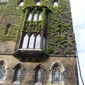 100_9848.JPG