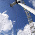 100_9886.JPG